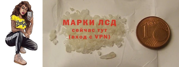 индика Богородск