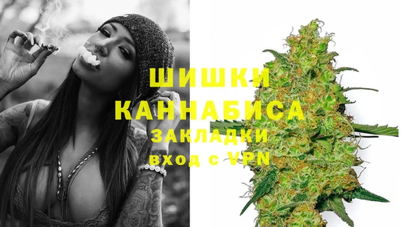 apvp Белокуриха