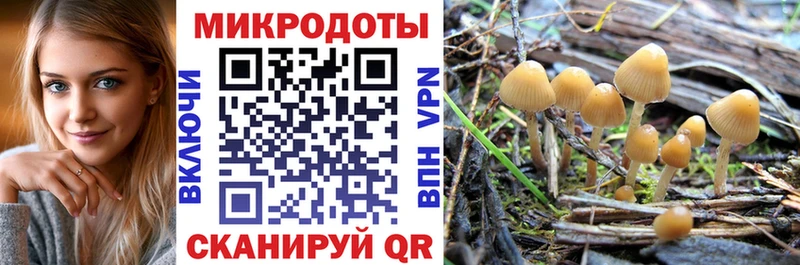 магазин продажи   Абакан  Псилоцибиновые грибы Cubensis 